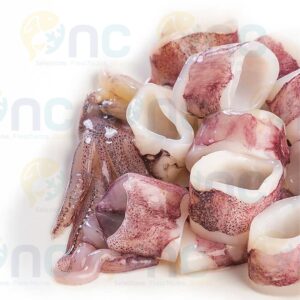 anelli e ciuffi di calamaro