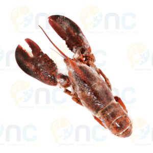 Crostacei