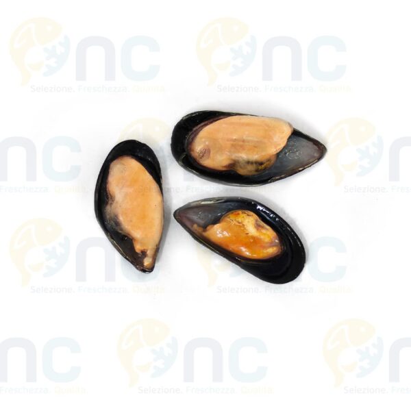 cozze mezzo guscio