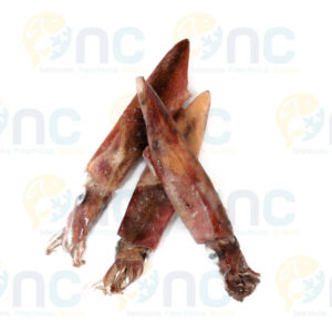Calamari Sud Africa IQF