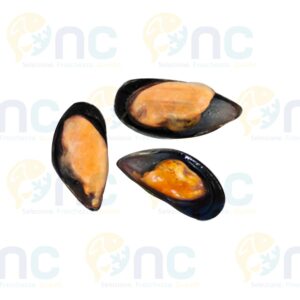 Cozze mezzo guscio